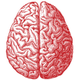 Illustration for article titled We're Getting Closer to Brain-to-Brain Interfaces